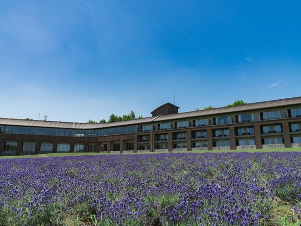 �x�ǖ�z�e���@Furano Hotel�̎{�ݎʐ^3