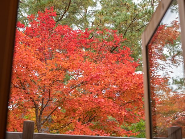 客室からの眺め（一例）紅葉には紅く染まる景色をお楽しみいただけます。
