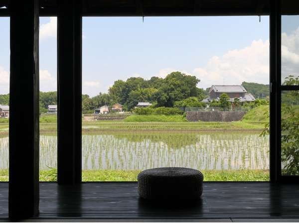 俚