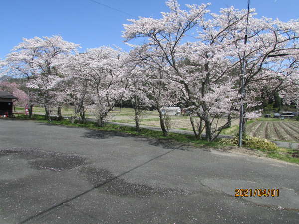 インペリアルビラ御用邸篠山 宿泊予約は じゃらんnet
