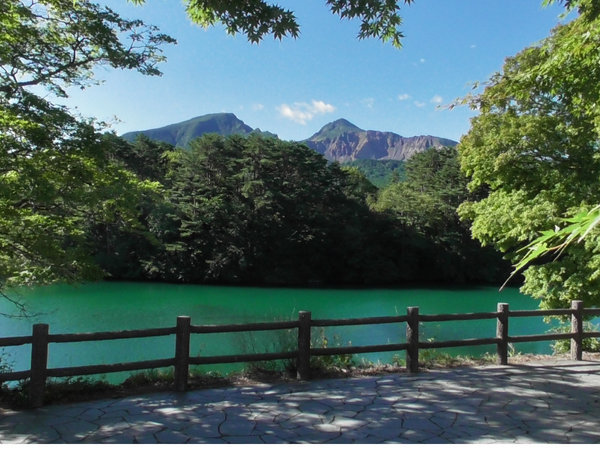 �y���B���C�i���V���z�֒�R�̒����̃z�e���B�l�G�܁X�A���R�𖞋i�A�t�@�~���[���}