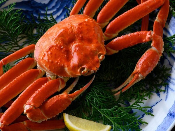 �y�����h�ɎR�����`�����������鉷��뉀�I�V���C�ƎR�A�̔����`�z�I���񋟂�3�����܂ŁI���������̏h�u�R�����v�œ~�̐H�ה[�߁I