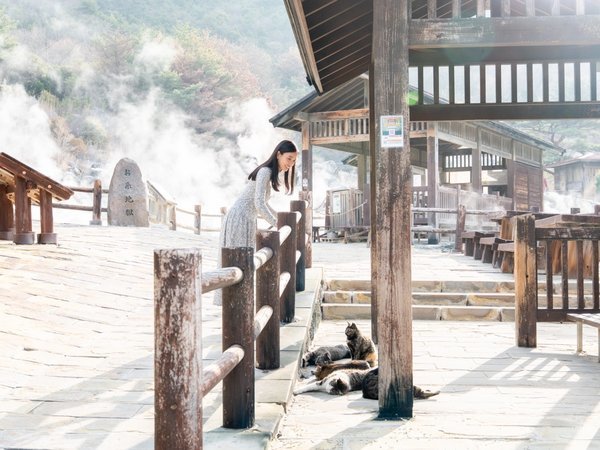 Mt.Resort �_���B�z�e���F���̂��U����