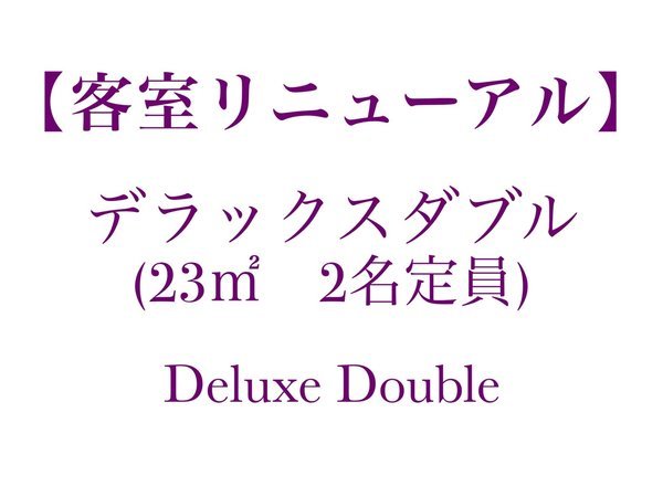 ���j���[�A���F�f���b�N�X�_�u���i23�u�j