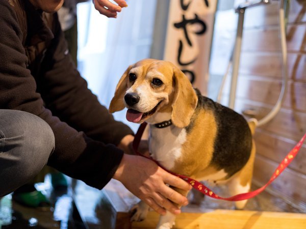 �y����������p�E���₵�̓��z���򗷊ق����炱���ł��郏�������̑���