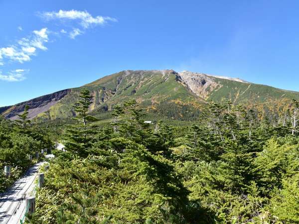 明治二年創業 木曽御嶽の老舗宿 くるみ沢旅館 宿泊予約は じゃらんnet