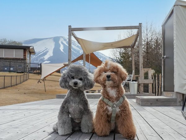 DotGLAMPING�k�y���F���S�h�b�O�t�����h���[�݌v
