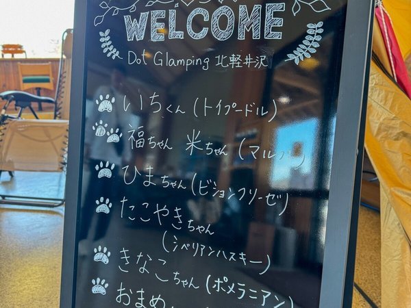 �E�F���J���{�[�h