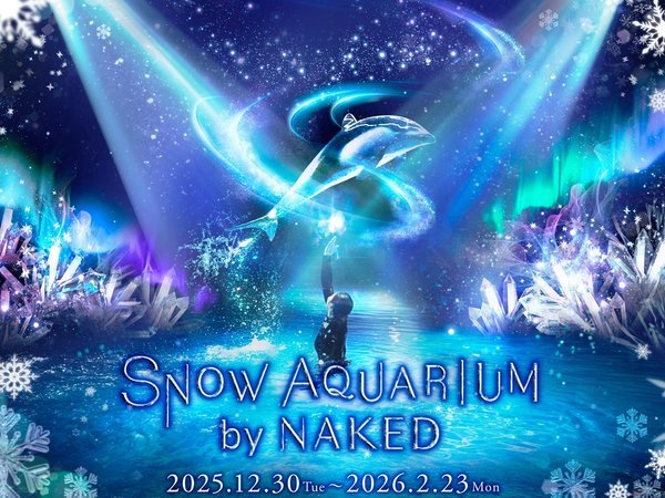 SNOW AQUARIUM by NAKED(12/30�`2/23)�~�̔������ɖ�������A�X�m�E�h�[���̂悤�ȊC�̐��E
