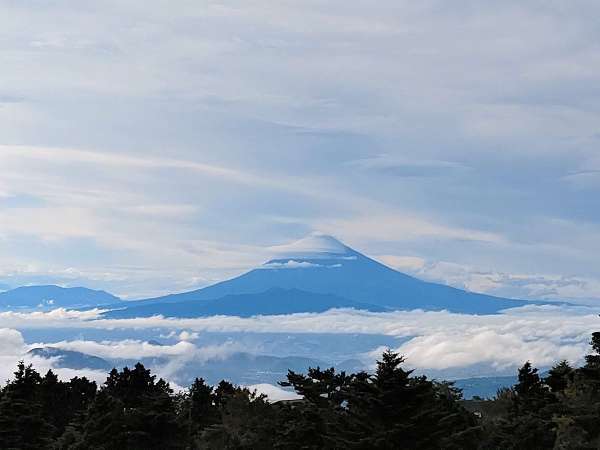 【ホテルハーヴェスト　天城高原】富士山を眺望する天空のリゾート。標高900mから満天の星空が魅力