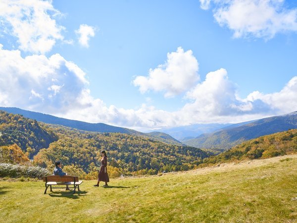 �_�P�J���o��J���}�c���P�������F�̖����̏H�B