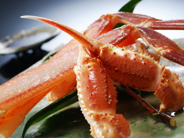 �y���Z�@���Ɋy���@�b���Y�i�����炬�j�z�j�����ց����t���Ɂ@��i�̊I�ɏo���h��