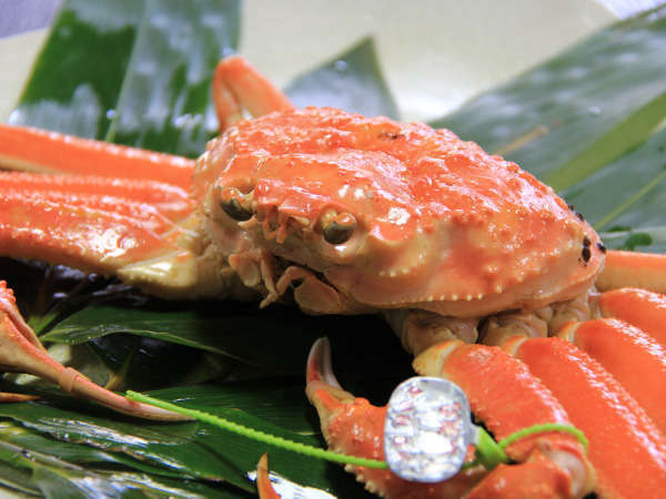 ���Z�@����ǁ@�{���F���t�I�v������t�J�n