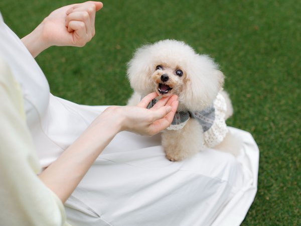 The ONE�ł̉߂��������