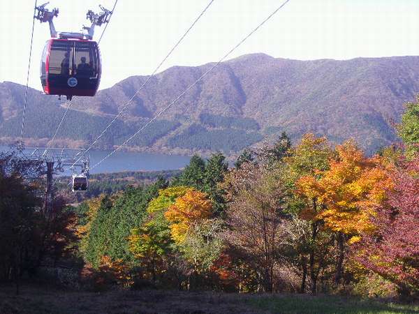 Urplais ホテル 旅館 宿泊施設の検索 箱根ロープウェイと紅葉 箱根仙石原プリンスホテル