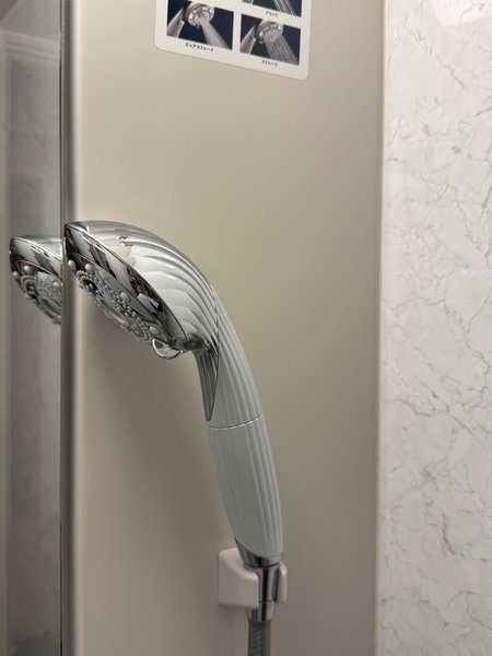 �V�����[�u�[�X�ɂ�Refa�̃V�����[�w�b�h����