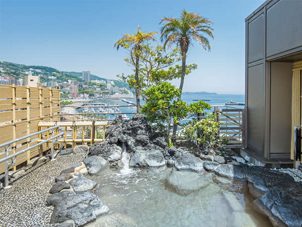 �M�C�p����]�̉���I�V���C