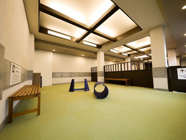 �����h�b�O����