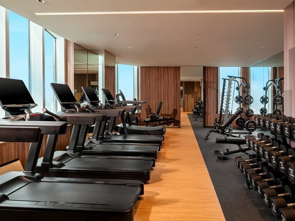 �n�C�A�b�g ���[�W�F���V�[ �����FLife Fitness�А��̃}�V��