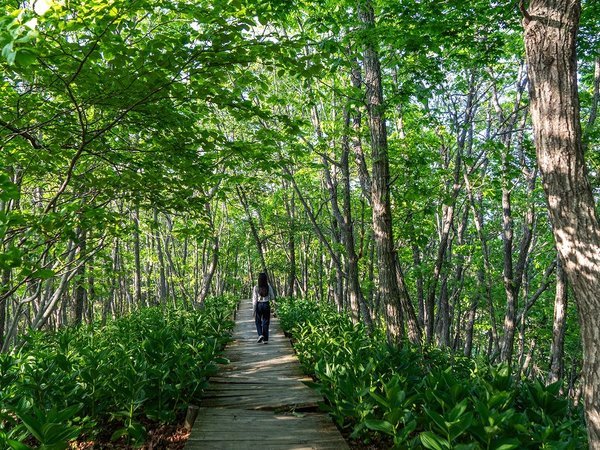 ���H�v�����X�z�e���F����������A�Ă������Ɗy�����B