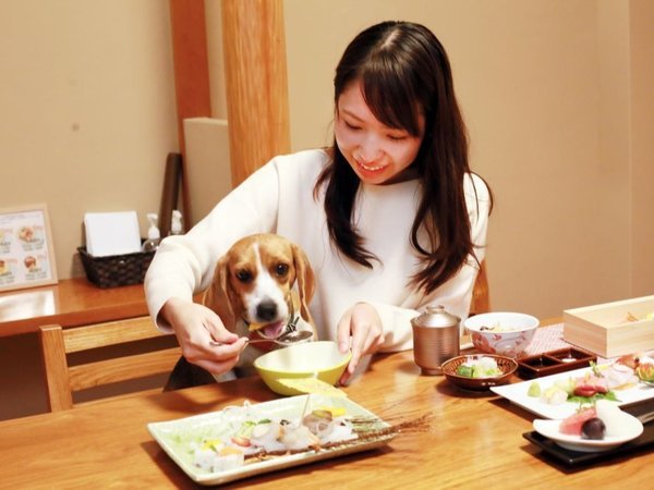 �y�b�g�Ɣ��܂��h(�y�b�g�������)�b���򗷊� �S�{�� �J�F