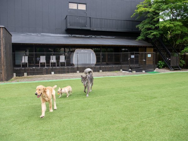 �y�b�g�Ɣ��܂��h(�y�b�g�������)�b���򗷊� �S�{�� �J�F