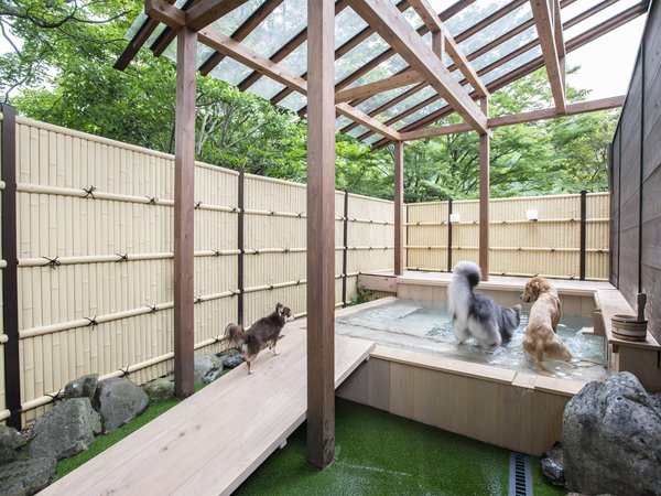 �y�b�g�Ɣ��܂��h(�y�b�g�������)�b���򗷊� �S�{�� �J�F