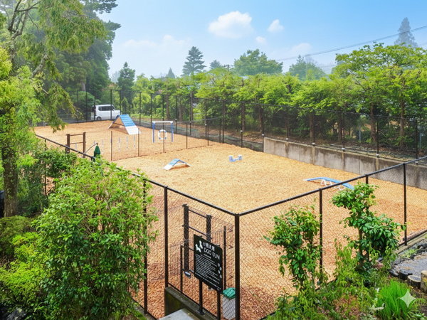 �y���O�h�b�O�����z�E�b�h�`�b�v��~���l�߂����������Ɋ������h�b�O�����ł�