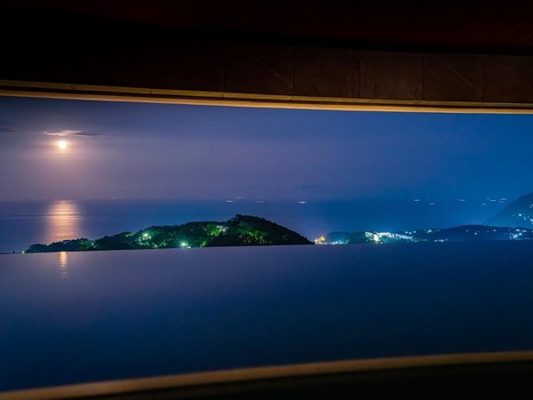 ONSEN�[���I�V�@�u���[�����[�h�v�@�����̍��A�����������΁A��̊C�Ɍ�������؂̌����f���o���܂��B