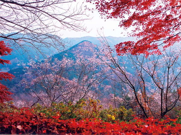 山々と湖に抱かれた絶景の一軒宿 神泉 宿泊予約は じゃらんnet