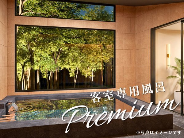 �y����e���X�^�q����p���C�z�v���~�A���E�h�[��8m�i�ő�6���j