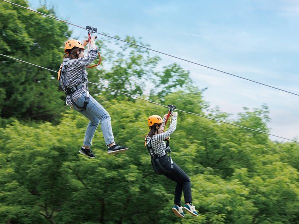 �z�e�����t�H�[���C�P���@�R�������F�uShuzenZIP�|�X���삯������|�v