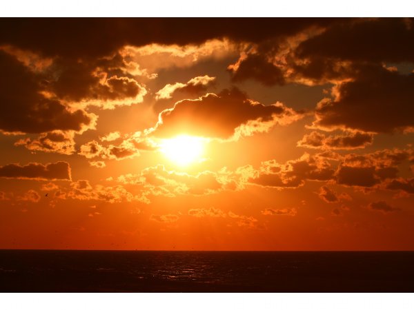 【てしお温泉　夕映】日本海に沈む夕日が絶景！　特徴ある茶褐色の温泉と海の幸が自慢