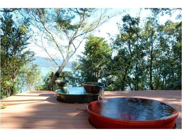 �V�R����y�����̓��M� �X�̓��I�V