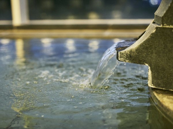 �T�̈�z�e�� ����F��