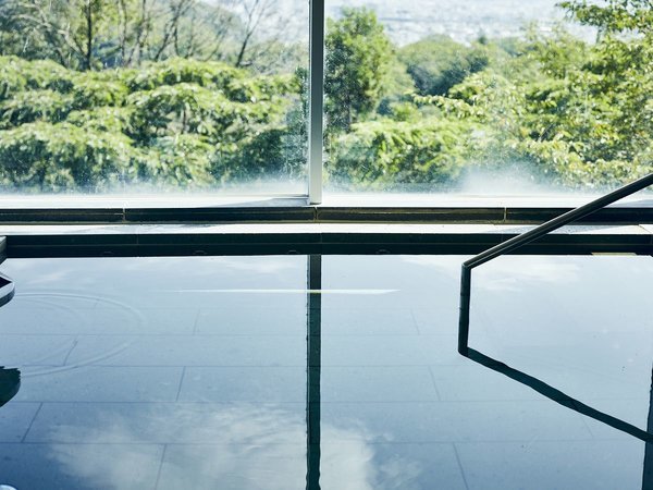 �T�̈�z�e�� ����F�c�Ǝ���