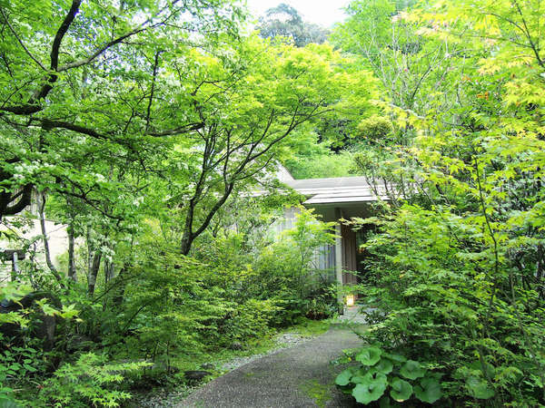 �y�k���@���F���̋G�@�����̂͂ȁz�y�S10���̘I�V���C�t���q���z������V�΂ցA�X���P���G�߂̑؍�