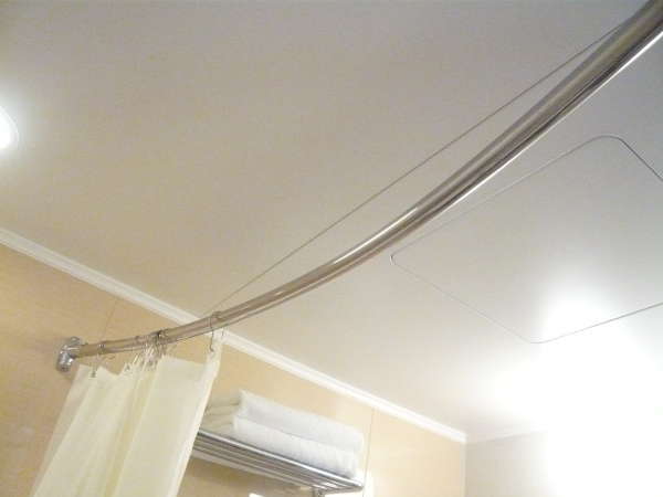 �J�[�u���Ă��郌�[���J�[�e���B�L�X�ƃo�X���[���������p���������܂��I