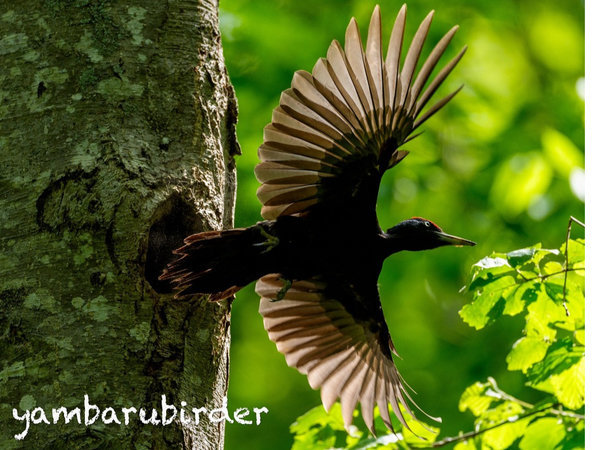 ���]�[�g�y���V�����R�̏�̎{�ݎʐ^2