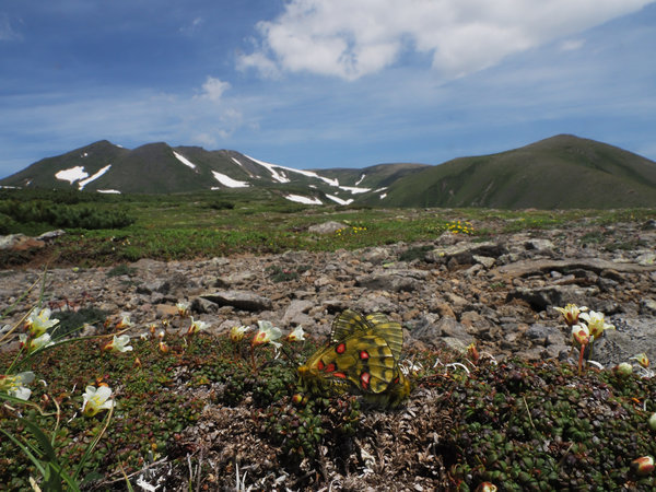 ���]�[�g�y���V�����R�̏�̎{�ݎʐ^1