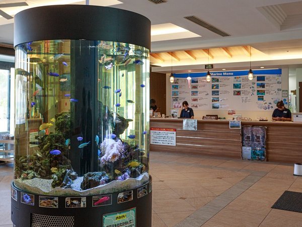 KARIYUSHI �k�b�g�D�q�d�r�n�q�s�@�����@�s�����@�a���������F�z�e���ٓ��~�j������