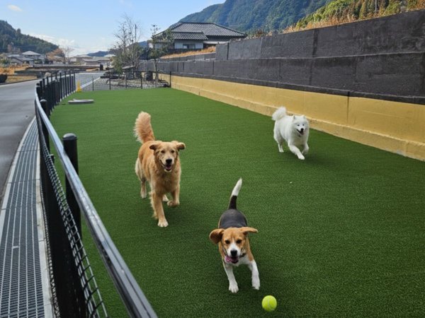 �S�����򂩂��������� �O�����s���O&���� �����̓� �������̉���F�h�b�O������V�݁I