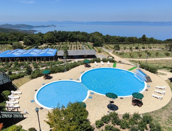 ˓C]ރv[  2025Nv[cƓ7/19~8/31AcƎԁF8F00~11F00 / 13F00~18F00