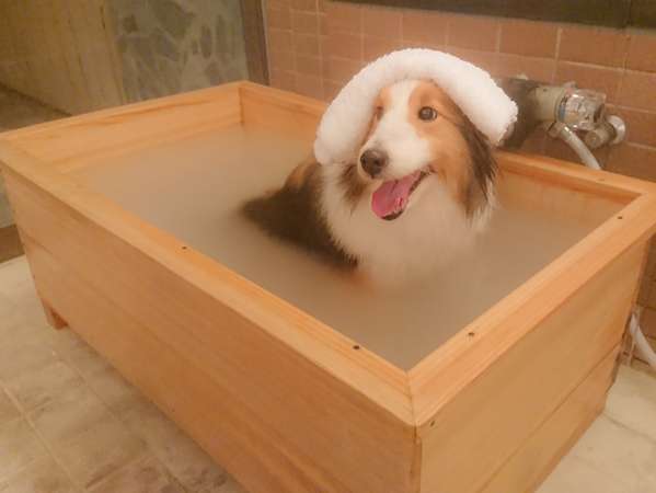 ペット専用浴槽
