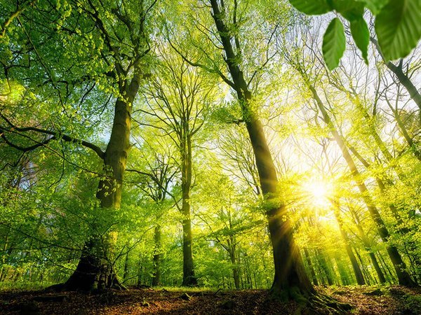 ���É����}�z�e���F�X�Â��芈��