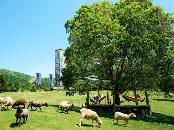星野リゾート リゾナーレトマム - 宿泊予約は【じゃらんnet】 
