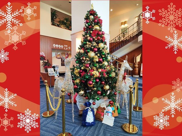 毎年11〜12月には、ロビーに豪華なクリスマスツリーが登場♪