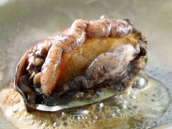 �C�N�̏h�@�݂͂炵���̎{�ݎʐ^3