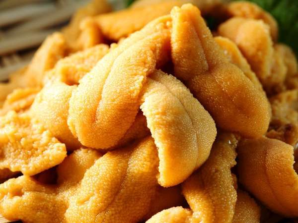 �C�N�̏h�@�݂͂炵���̎{�ݎʐ^2