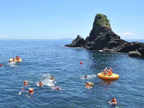 �y�I�[�V�����v�[���z�C���d�؂����V�R�v�[���􁦊C�m�󋵂ɂ�蒆�~�̏ꍇ�L��